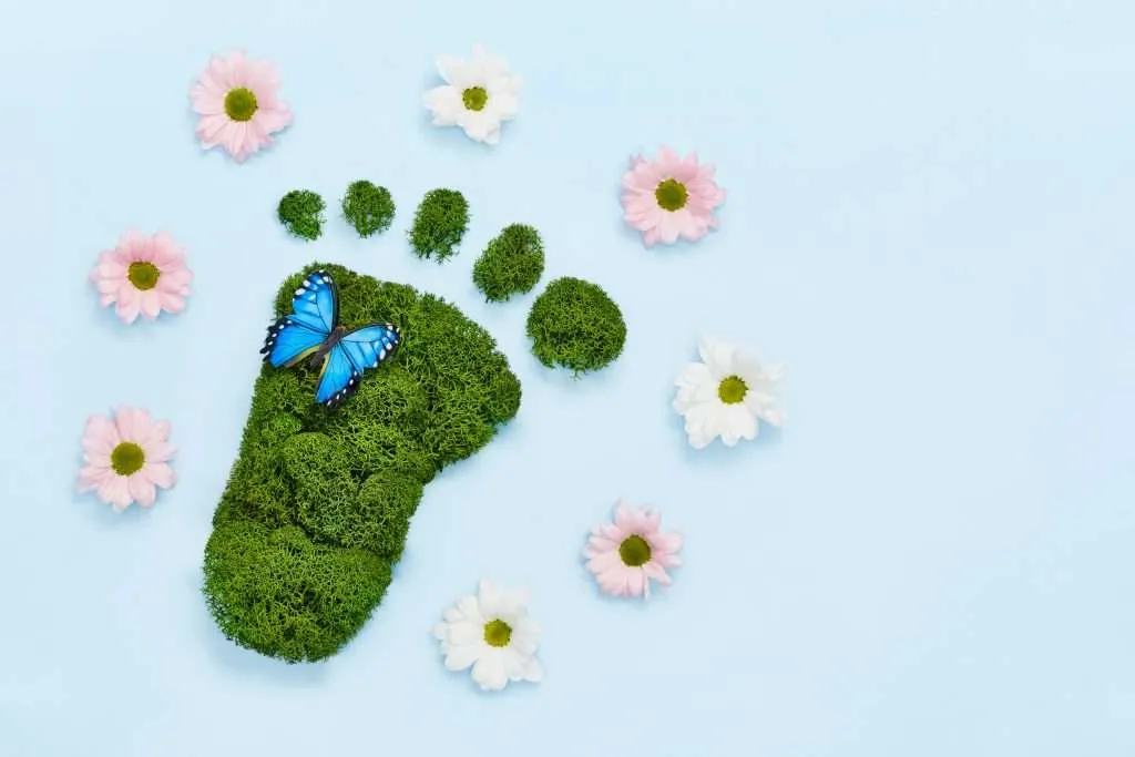 Creative eco, environmental care