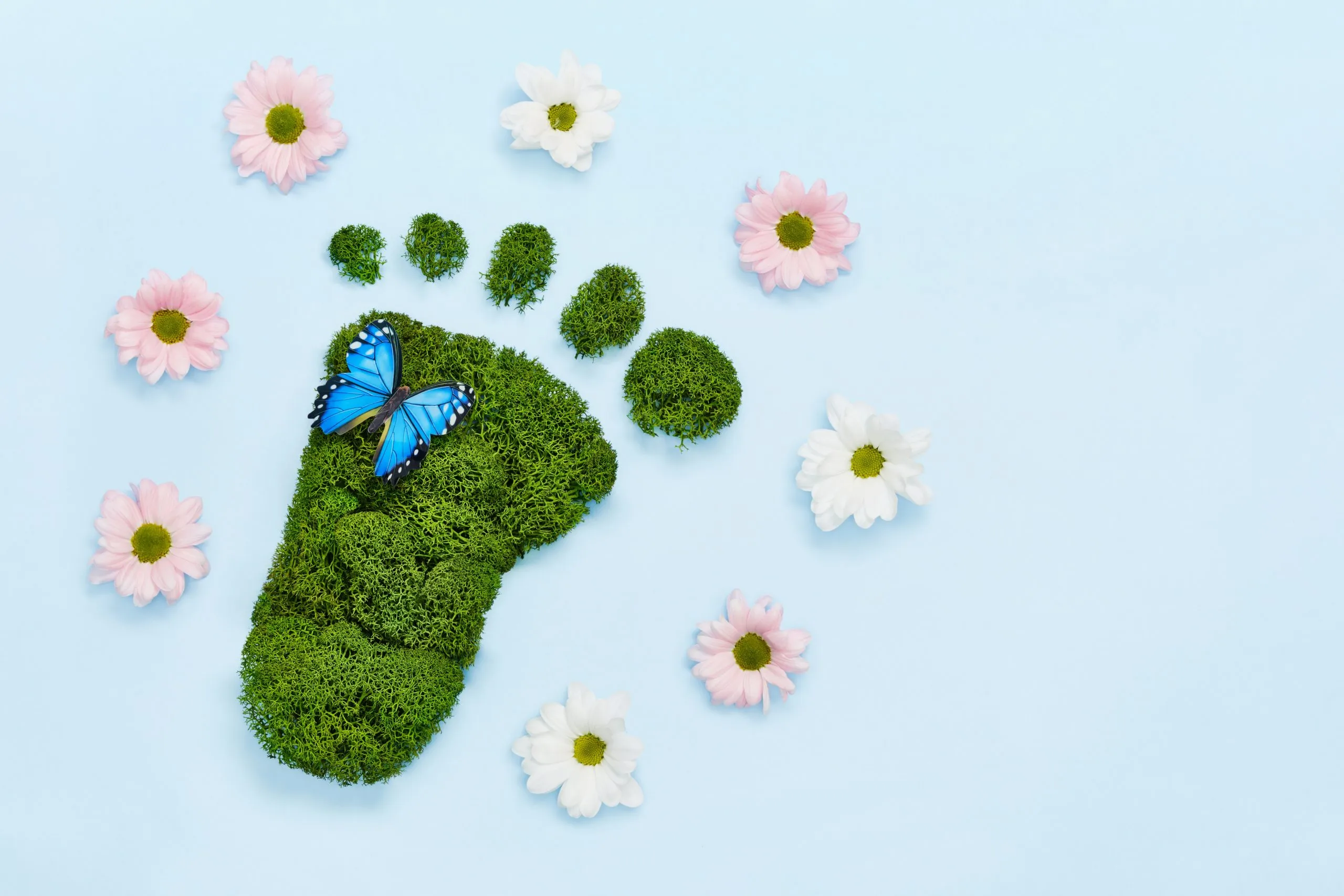 Creative eco, environmental care